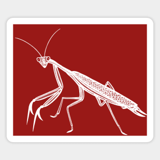 Praying Mantis - insect lovers hand drawn design Magnet